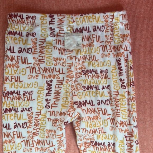 Burt’s Bees Organic Cotton Thankful Give Thanks Thanksgiving pajamas unisex 4T 4 - Picture 10 of 11